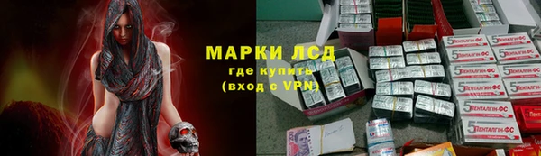 гашик Новокубанск