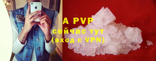 индика Нея