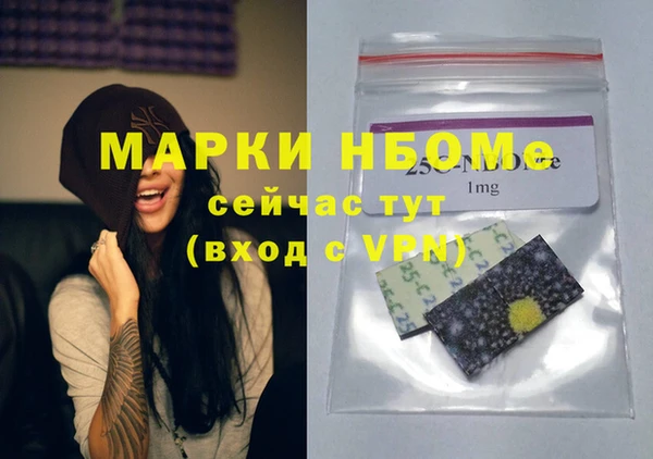 индика Нея