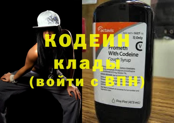 индика Нея